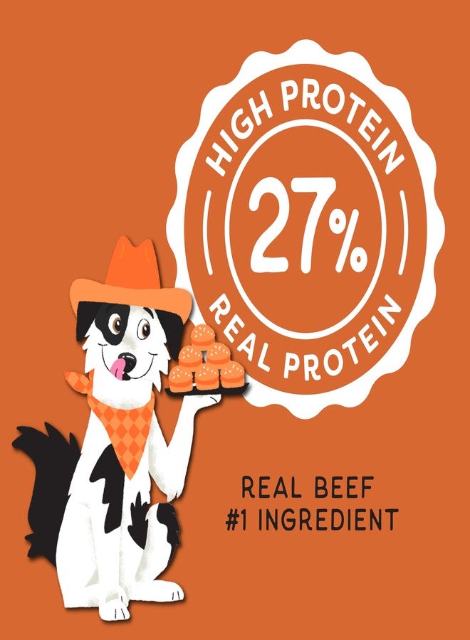 CHAMPS Soft Dog Treats for Digestive Support/Gut Health & Training Snacks Made with Pumpkin, Oat Fiber & Vinegar - Beef Sliders - 16 oz - Image 3